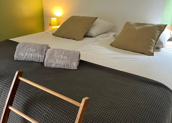 Clos Du Regrillon Guest house 3*